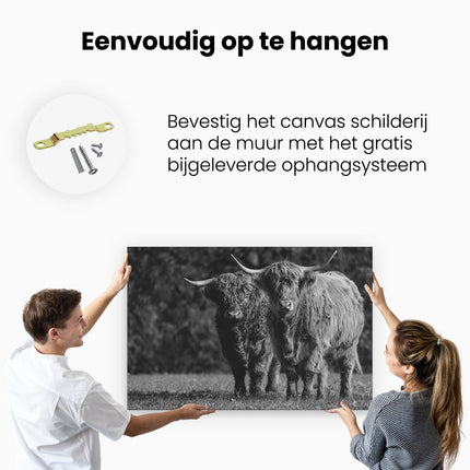 Canvas schilderij ophangen Twee Schotse Hooglanders in de Groene Weide - Zwart Wit