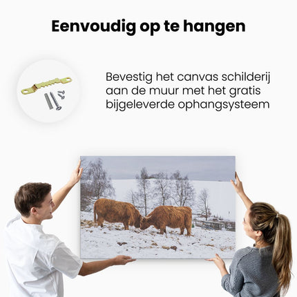 Canvas schilderij ophangen Twee Schotse Hooglanders in de Sneeuw