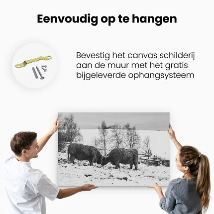 Canvas schilderij ophangen Twee Schotse Hooglanders in de Sneeuw - Zwart Wit