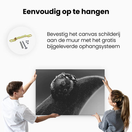 Canvas schilderij ophangen Lieveheersbeestje op een Blad met Waterdruppels - Zwart Wit