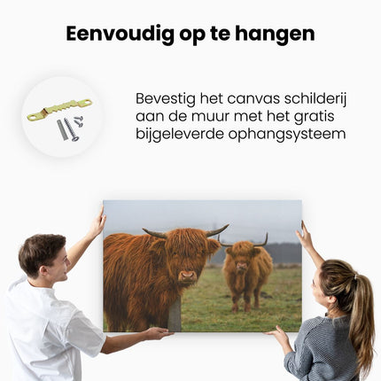 Canvas schilderij ophangen Twee Schotse Hooglanders in de Weide