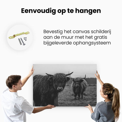 Canvas schilderij ophangen Twee Schotse Hooglanders in de Weide - Zwart Wit