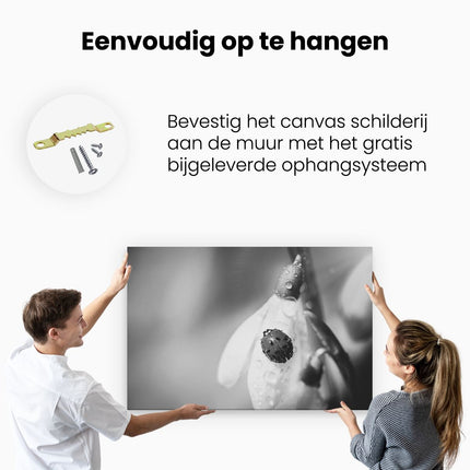 Canvas schilderij ophangen Lieveheersbeestje op een Sneeuwklokje Bloem - Zwart Wit