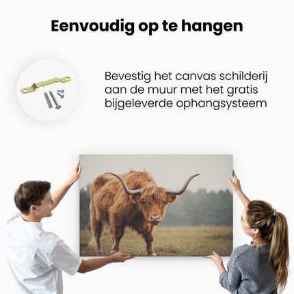 Canvas schilderij ophangen Schotse Hooglander met Hoorns