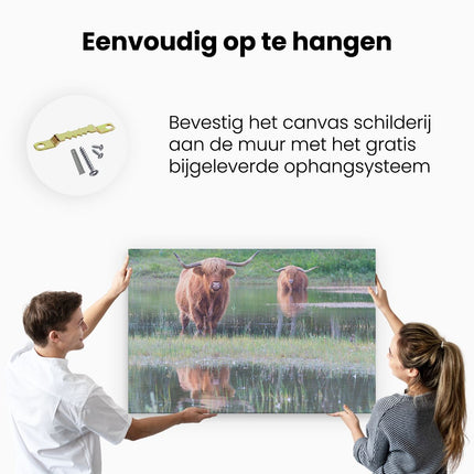 Canvas schilderij ophangen Twee Schotse Hooglanders in het Moeras