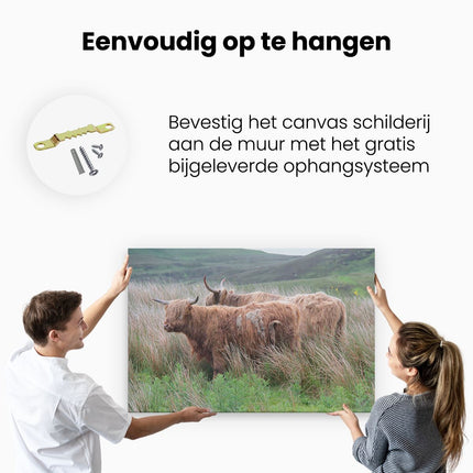 Canvas schilderij ophangen Twee Schotse Hooglanders in het Heuvelvelachtige Veld