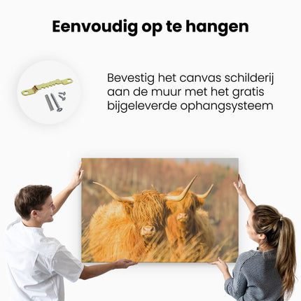 Canvas schilderij ophangen Twee Schotse Hooglanders in de Zon