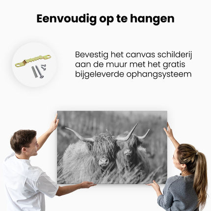 Canvas schilderij ophangen Twee Schotse Hooglanders in de Zon - Zwart Wit