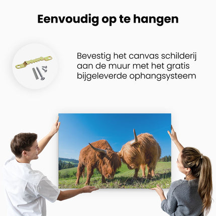 Canvas schilderij ophangen Twee Schotse Hooglanders op een Heuvel