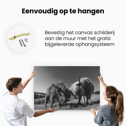 Canvas schilderij ophangen Twee Schotse Hooglanders op een Heuvel - Zwart Wit