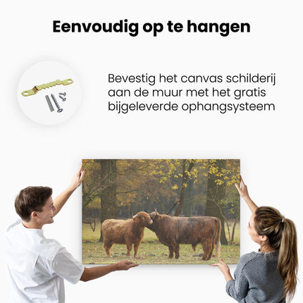 Canvas schilderij ophangen Twee Schotse Hooglanders Kussen Elkaar - Liefde