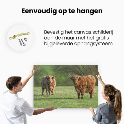 Canvas schilderij ophangen Twee Schotse Hooglanders op het Gras