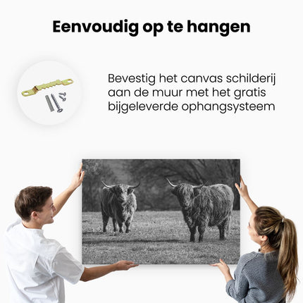 Canvas schilderij ophangen Twee Schotse Hooglanders op het Gras - Zwart Wit