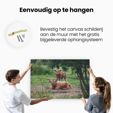 Canvas schilderij ophangen Twee Schotse Hooglanders in de Bossen