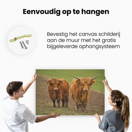 Canvas schilderij ophangen Twee Schotse Hooglanders in de Weide