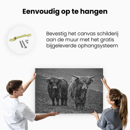 Canvas schilderij ophangen Twee Schotse Hooglanders in de Weide - Zwart Wit