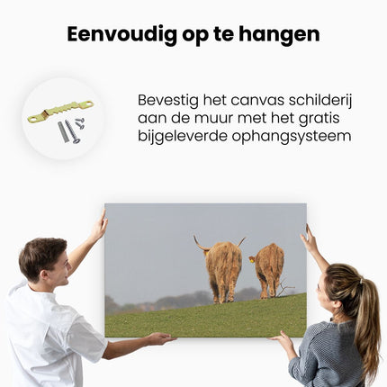 Canvas schilderij ophangen Twee Schotse Hooglanders Koeien Lopen Weg