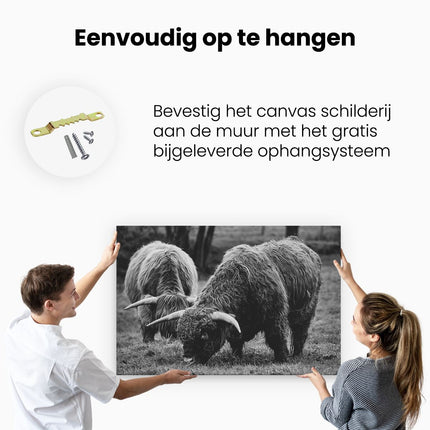 Canvas schilderij ophangen Twee Schotse Hooglanders Grazen Gras - Zwart Wit