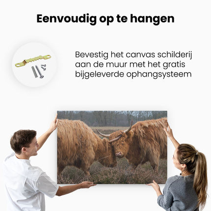 Canvas schilderij ophangen Twee Schotse Hooglanders Knuffelen Elkaar