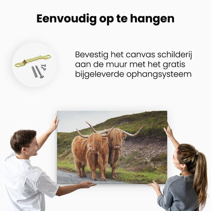 Canvas schilderij ophangen Twee Schotse Hooglanders op de Weg