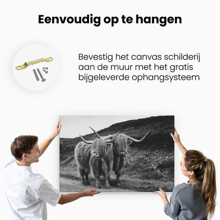 Canvas schilderij ophangen Twee Schotse Hooglanders op de Weg - Zwart Wit