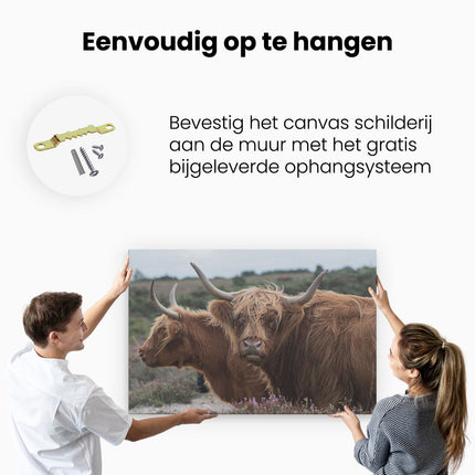 Canvas schilderij ophangen Twee Schotse Hooglander Koeien