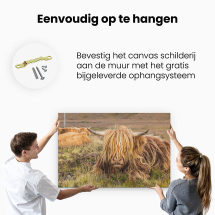 Canvas schilderij ophangen Harige Schotste Hooglander Koe in het Gras