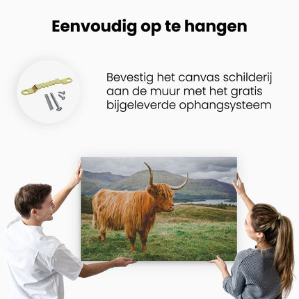 Canvas schilderij ophangen Schotse Hooglander in de Heuvels