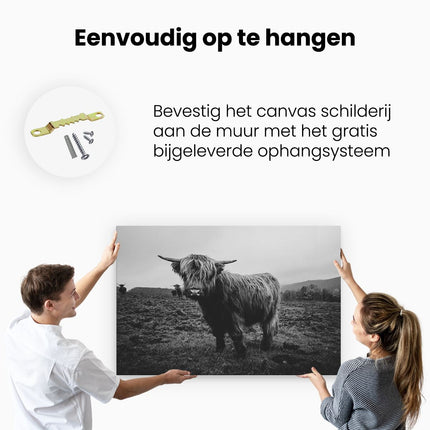 Canvas schilderij ophangen Schotse Hooglanders in het Veld - Zwart Wit