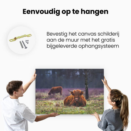 Canvas schilderij ophangen Schotse Hooglanders in de Weide