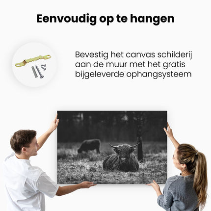 Canvas schilderij ophangen Schotse Hooglanders in de Weide - Zwart Wit