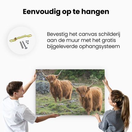 Canvas schilderij ophangen Twee Schotse Hooglanders bij Stenen