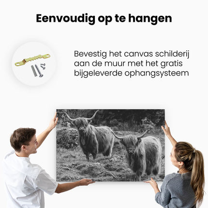 Canvas schilderij ophangen Twee Schotse Hooglanders bij Stenen - Zwart Wit