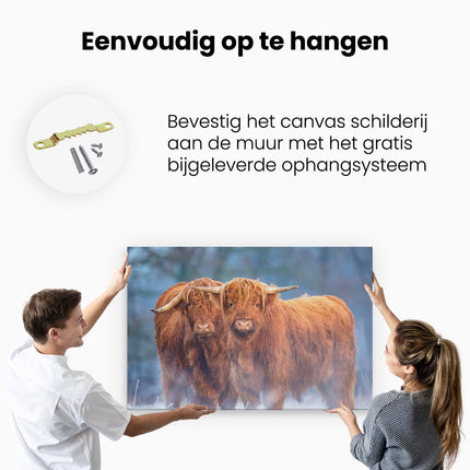 Canvas schilderij ophangen Twee Schotse Hooglanders in de Sneeuw