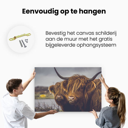 Canvas schilderij ophangen Twee Schotse Hooglander Koeienkoppen