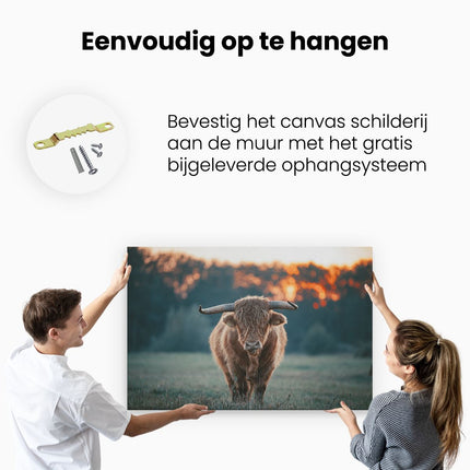 Canvas schilderij ophangen Schotse Hooglander in het Veld bij Zonsondergang