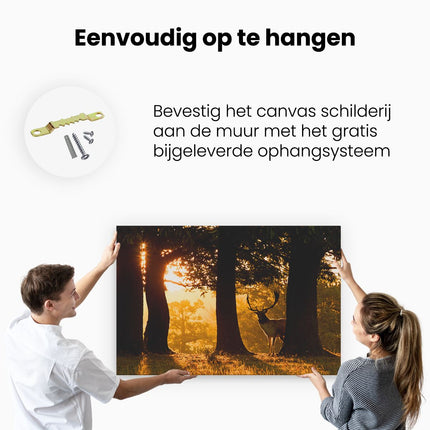 Canvas schilderij ophangen Hert in de Bossen bij Zonsopkomst