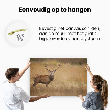 Canvas schilderij ophangen Hert in de Weide