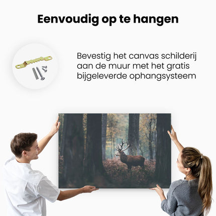 Canvas schilderij ophangen Hert in het Bos