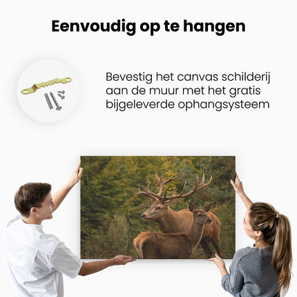 Canvas schilderij ophangen Twee Herten in het Bos