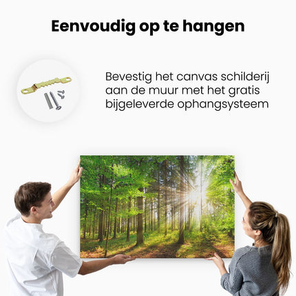 Canvas schilderij ophangen Bos met Zon tussen de Bomen