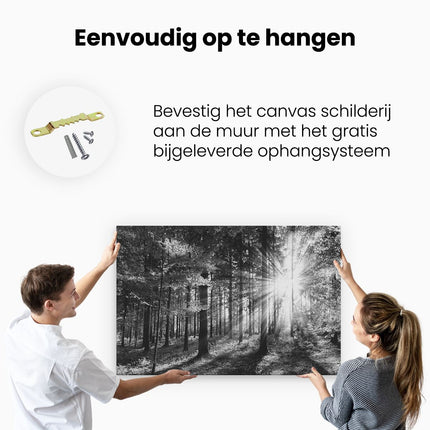 Canvas schilderij ophangen Bos met Zon tussen de Bomen - Zwart Wit