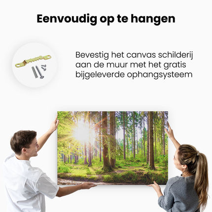 Canvas schilderij ophangen Bos met Zon tussen de Bomen