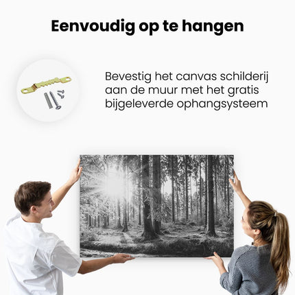 Canvas schilderij ophangen Bos met Zon tussen de Bomen - Zwart Wit