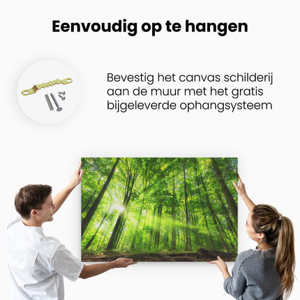 Canvas schilderij ophangen Bos met Zon tussen de Hoge Bomen