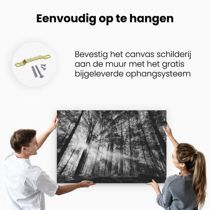 Canvas schilderij ophangen Bos met Zon tussen de Hoge Bomen - Zwart Wit