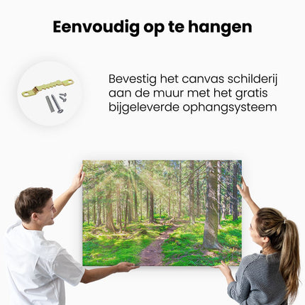 Canvas schilderij ophangen Pad in Bos met Zon tussen de Bomen