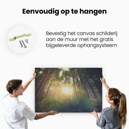 Canvas schilderij ophangen Bos met Zon tussen de Hoge Bomen