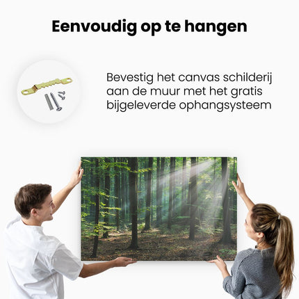 Canvas schilderij ophangen Bos met Zon tussen de Bomen