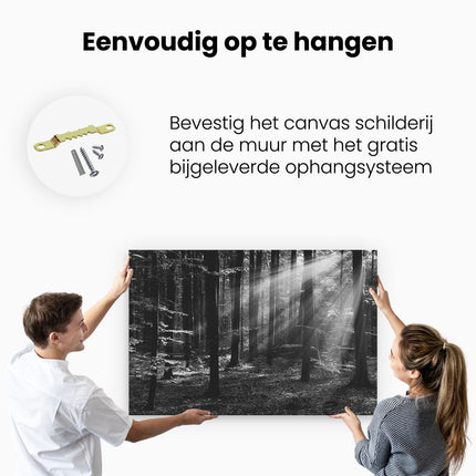 Canvas schilderij ophangen Bos met Zon tussen de Bomen - Zwart Wit